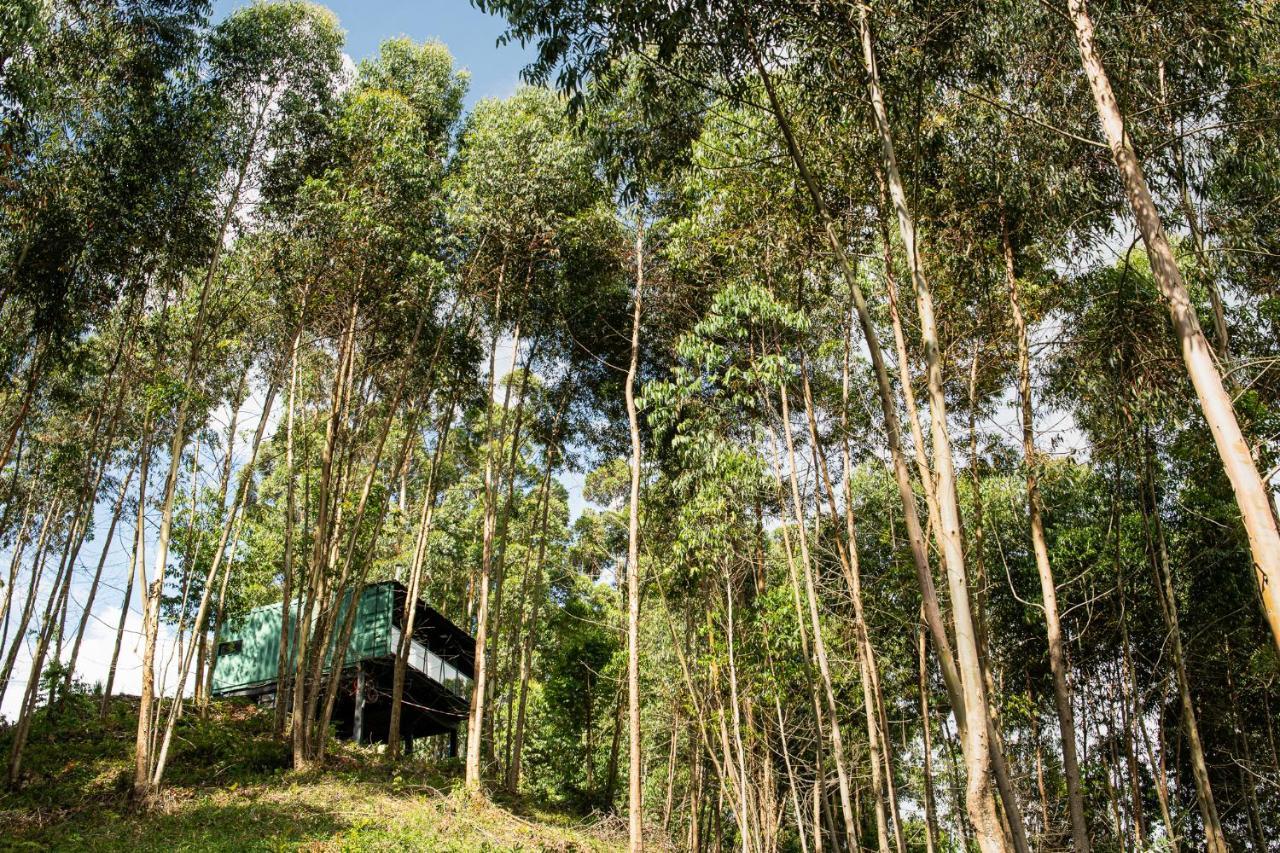 פלורס דה קוניה Casa Container Figo Em Meio A Natureza Na Serra Gaucha מראה חיצוני תמונה